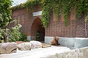 Thumbnail image of Bear Pit, Koellnischer Park, Berlin, Germany