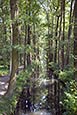 Thumbnail image of Rollkanal near Wotschofska, Luebbenau, Spreewald, Brandenburg, Germany