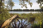 Wutzsee, Hammer Near Liebenwalde, Oberhavel, Brandenburg, Germany