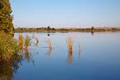 Thumbnail image of Mündesee, Angermuende, Brandenburg, Germany