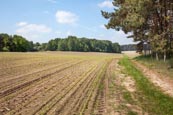 Footpath And Farmland On The Kunstwanderweg, Hoher Fläming National Park, Near Bad Belzig, Brandenbu