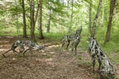 Kunstwanderweg Hoher Fläming – Woelfe By Marion Burghouwt, Near Wiesenburg, Brandenburg, German