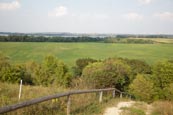 Path Up To The Kleiner Rummelsberg And View Over The Parsteiner See, Barnim / Uckermark, Brandenburg