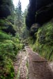 Thumbnail image of Lattengrund in the area of the Schrammsteine, near Bad Schandau, Sachsische Schweiz, Saxony, Germany