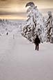 Thumbnail image of Ski and walking trail by Fichtelberg, Oberwiesenthal, Saxony, Germany