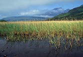 Thumbnail image of Loch Cill, Chriosd, Scotland