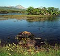 Thumbnail image of Isle of Skye, Scotland
