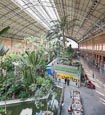 Thumbnail image of tropical greenhouse at Atocha train station, Madrid, Spain
