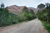 Thumbnail image of Footpath in the La Murta Valley leading to Santa Maria de la Murta Monastery near Alzira, Valencia, 