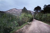 Thumbnail image of Footpath in the La Murta Valley leading to Santa Maria de la Murta Monastery near Alzira, Valencia, 