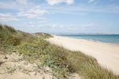 Thumbnail image of Beach at El Saler, with view towards Valencia
Valencia, Spain