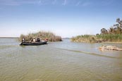 Thumbnail image of Boat Trip on the Lagoon at Albufera Natural Park, Valencia, Spain