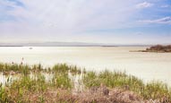 Thumbnail image of Lagoon at Albufera Natural Park, Valencia, Spain