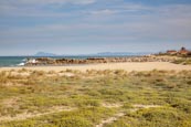 Beach At La Laguna Del Estany, Cullera, Valencia, Spain